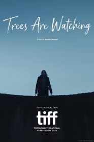 Trees are Watching