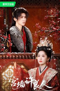 宫墙许良人: Season 1