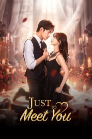 Just to Meet You