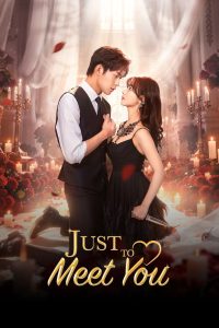 Just to Meet You