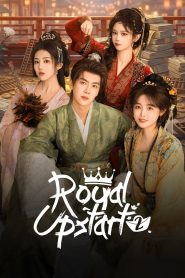 Royal Upstart 2