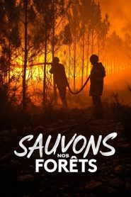 Sauvons nos Forêts