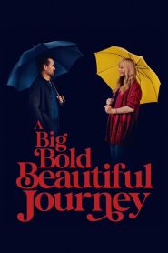 A Big Bold Beautiful Journey