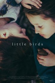 Little Birds