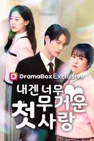 내겐 너무 무거운 첫사랑