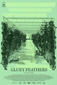 Gluey Feathers