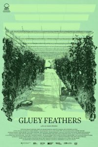 Gluey Feathers