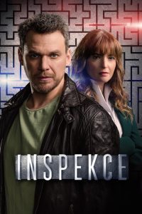 Inspekce