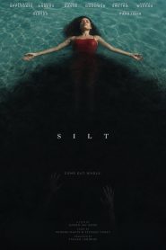 Silt