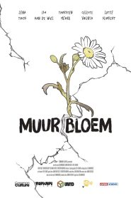 Muurbloem